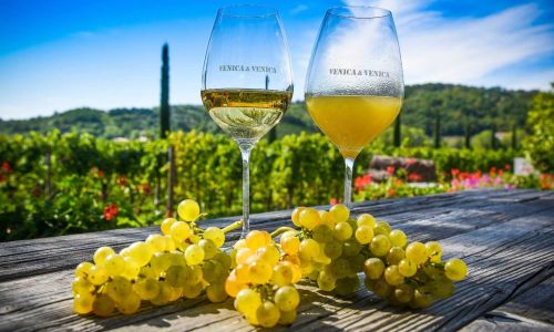 bicchieri petris malvasia