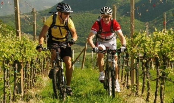 passeggiate in bicicletta