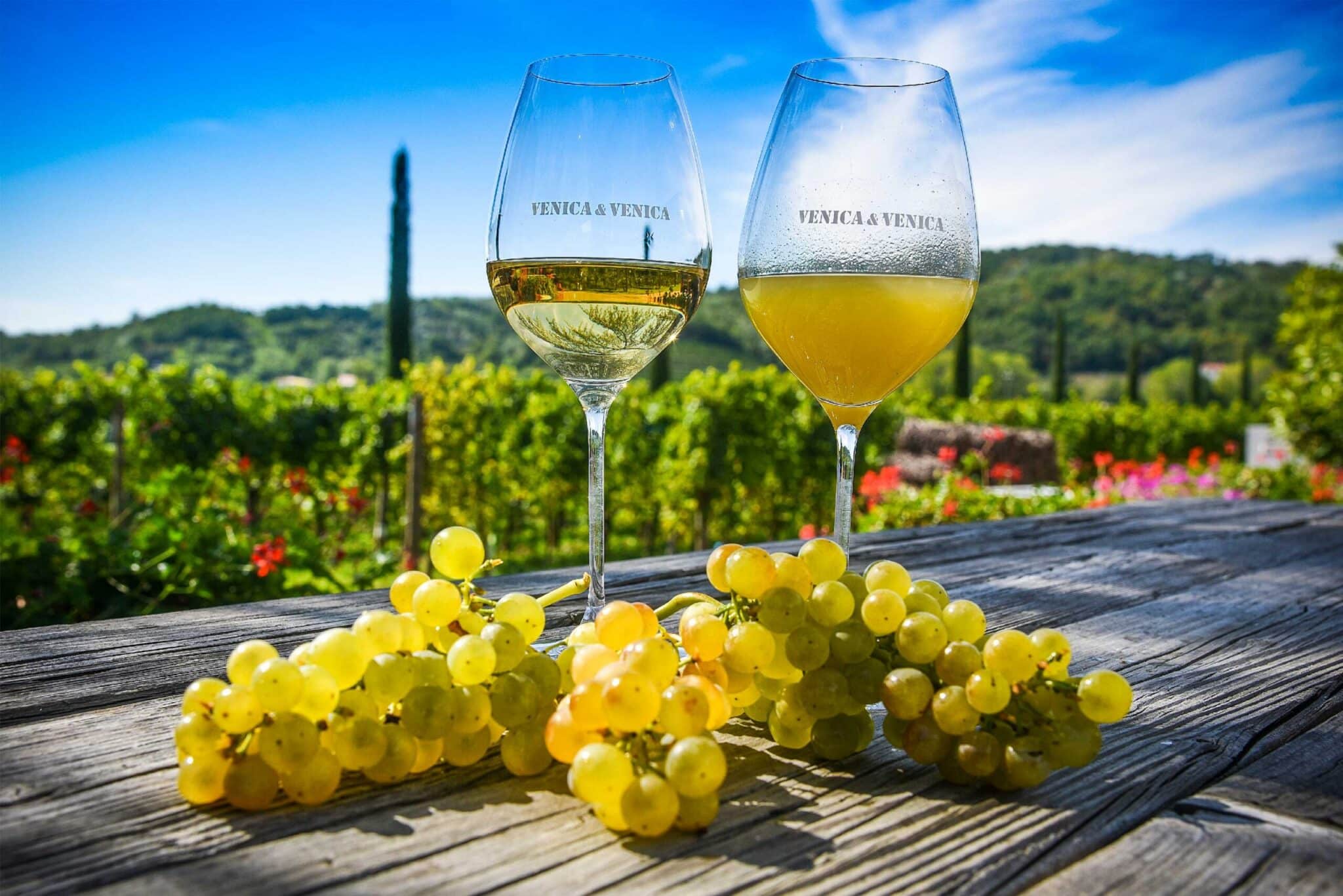 bicchieri petris malvasia