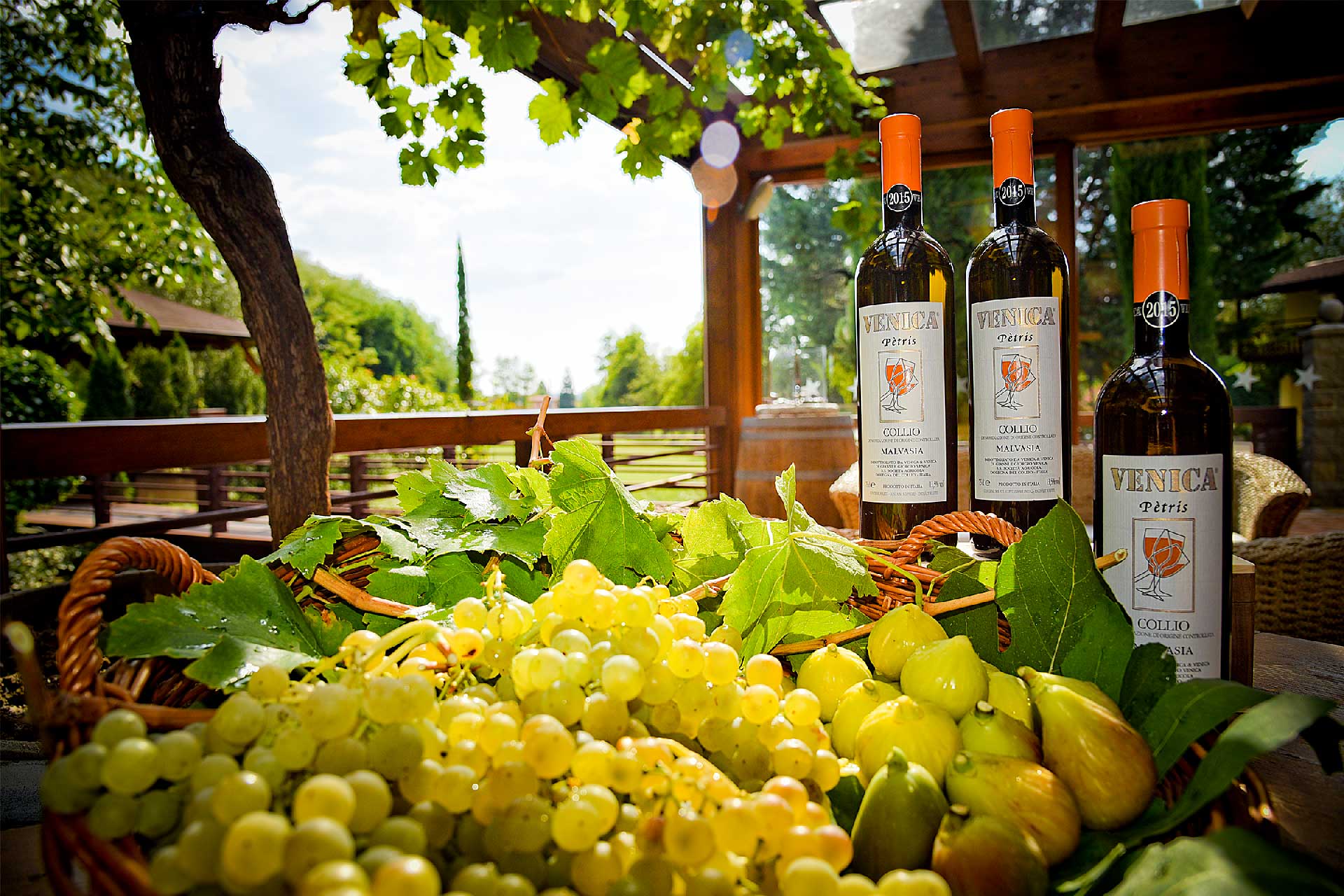malvasia petris venica