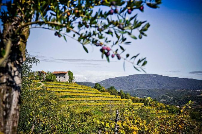 collio