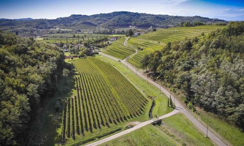 Vigna Ronco del Cerò