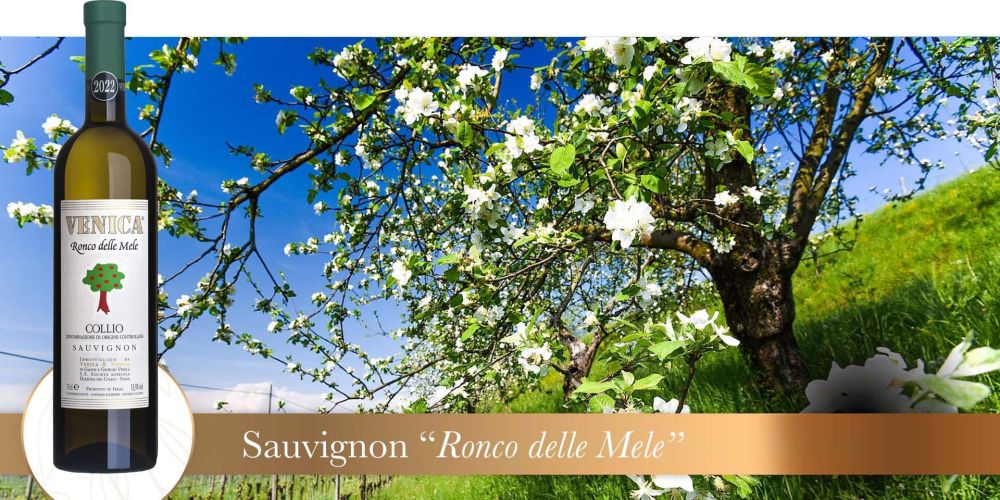 ronco delle mele - vigneto