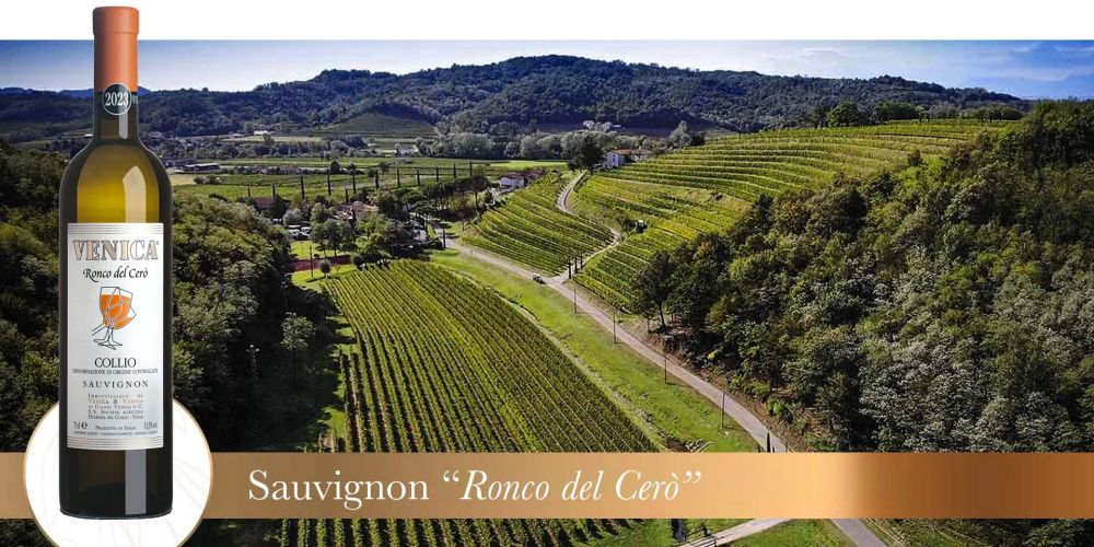 ronco cerò vigneto 2023