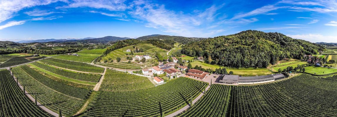 dolegna del collio