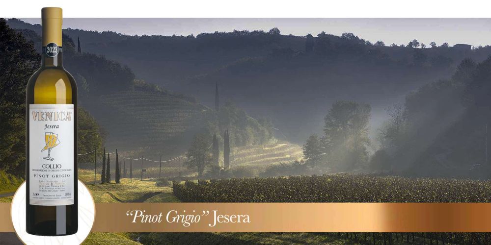 jesera vigneto 2023