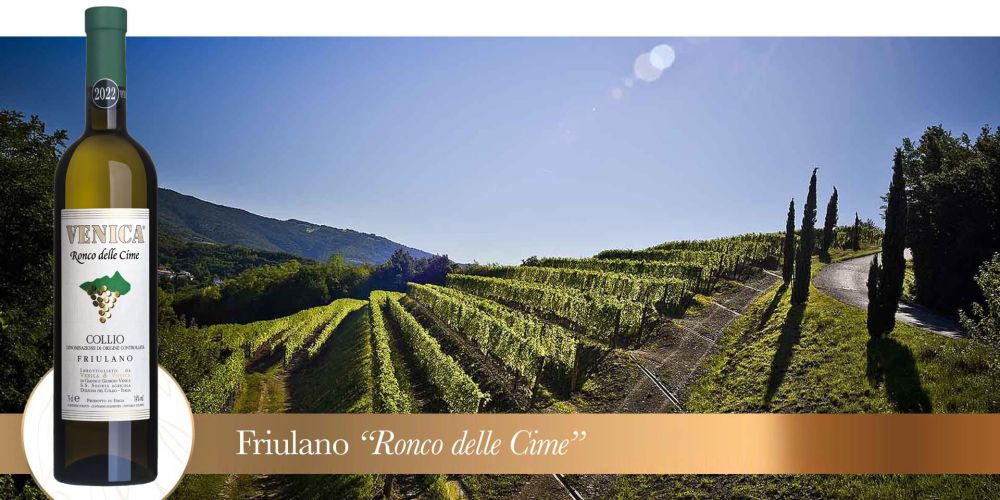 ronco delle cime vigneto friulano