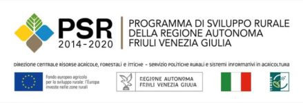 logo PSR