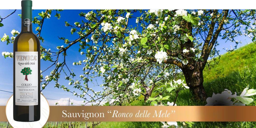 ronco delle mele vigneto 2023